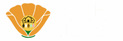 RISE Relief Project